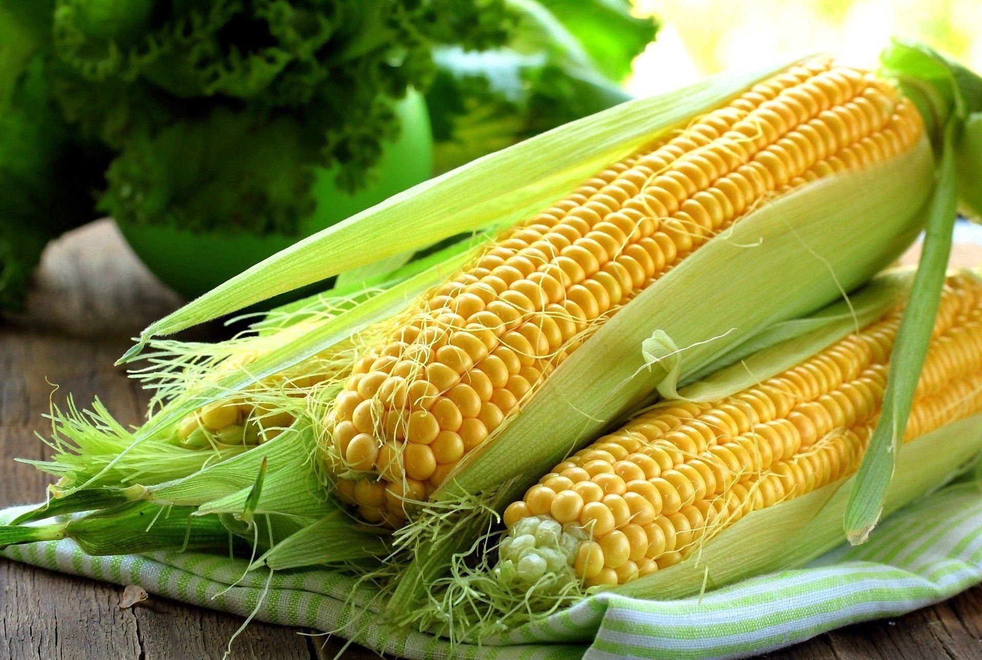 Maize