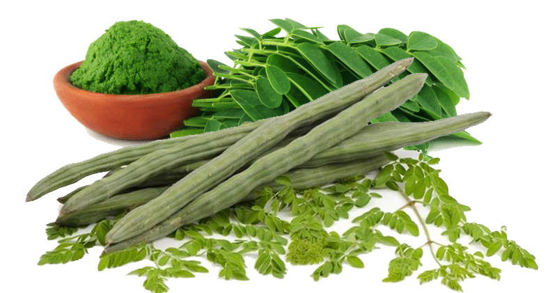 Moringa Leaves