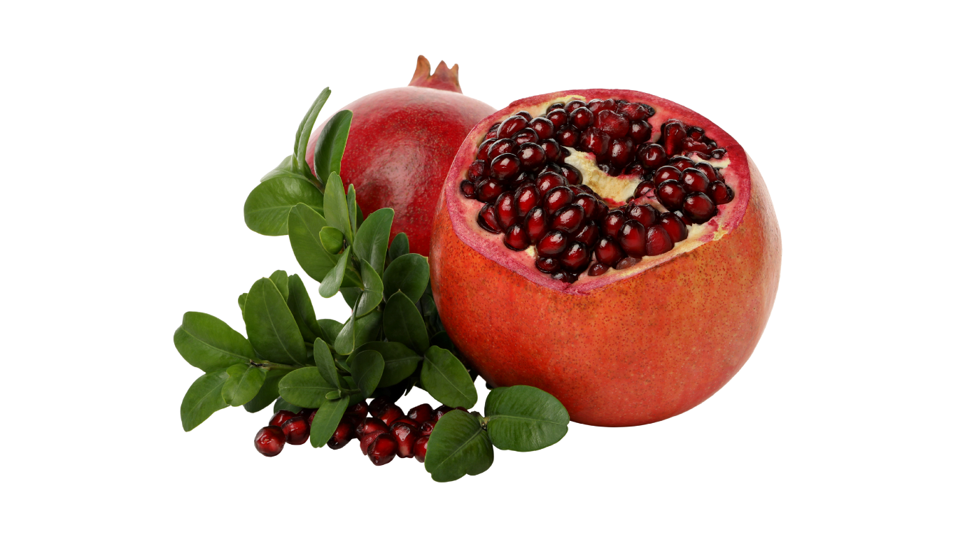 Pomogranate